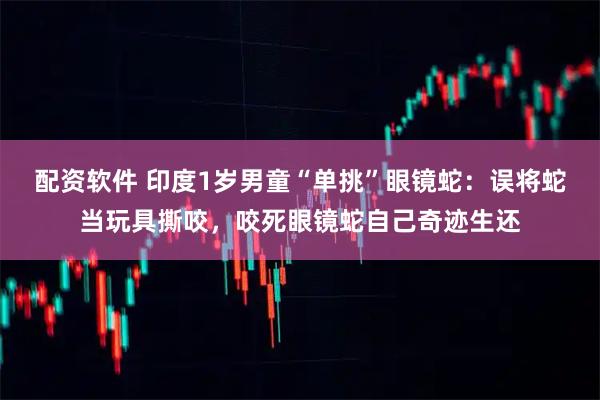 配资软件 印度1岁男童“单挑”眼镜蛇：误将蛇当玩具撕咬，咬死眼镜蛇自己奇迹生还
