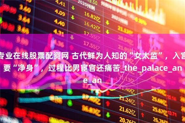 专业在线股票配资网 古代鲜为人知的“女太监”，入宫要“净身”，过程比男宦官还痛苦_the_palace_an