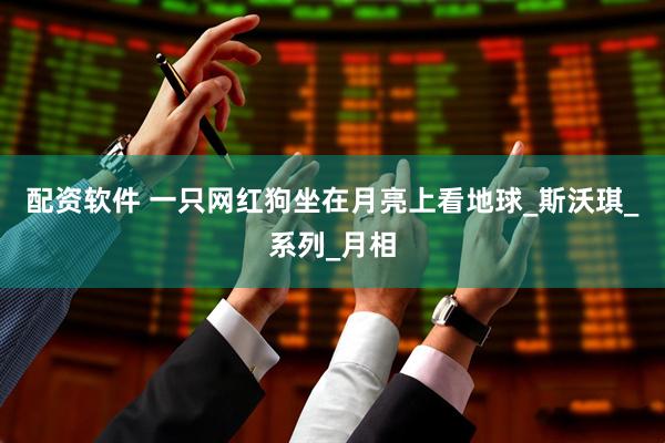配资软件 一只网红狗坐在月亮上看地球_斯沃琪_系列_月相