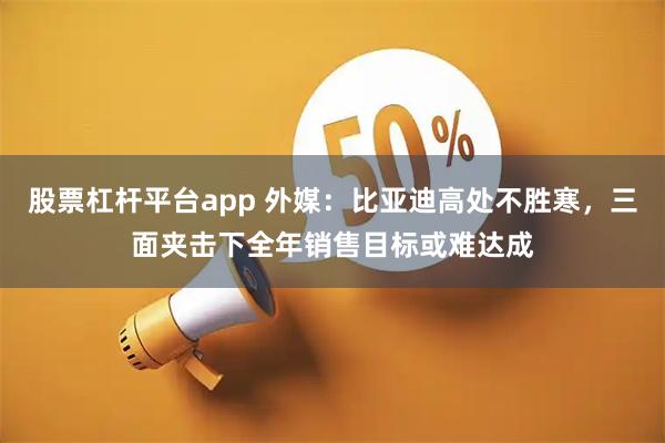 股票杠杆平台app 外媒：比亚迪高处不胜寒，三面夹击下全年销售目标或难达成
